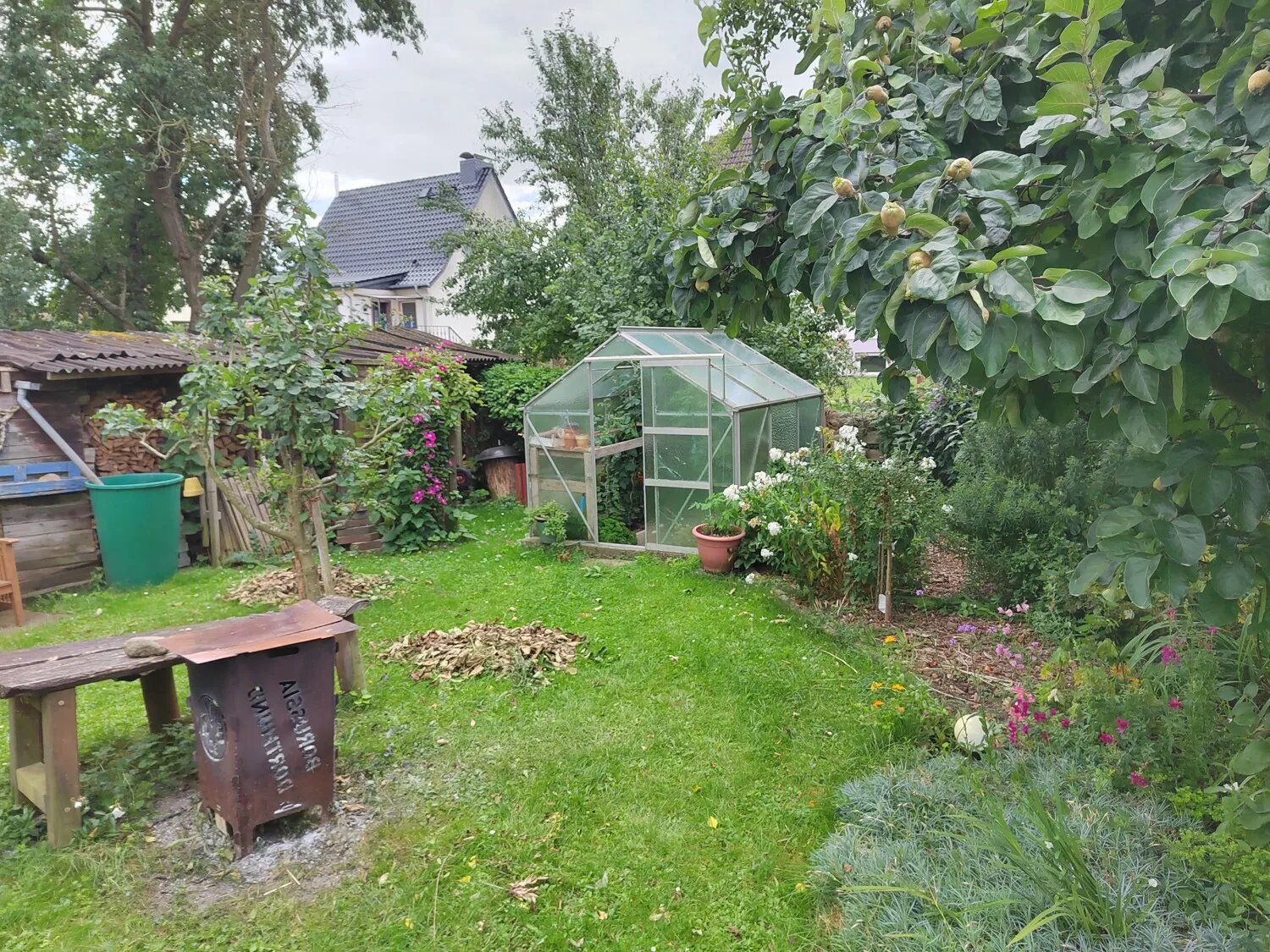 Garten 3
