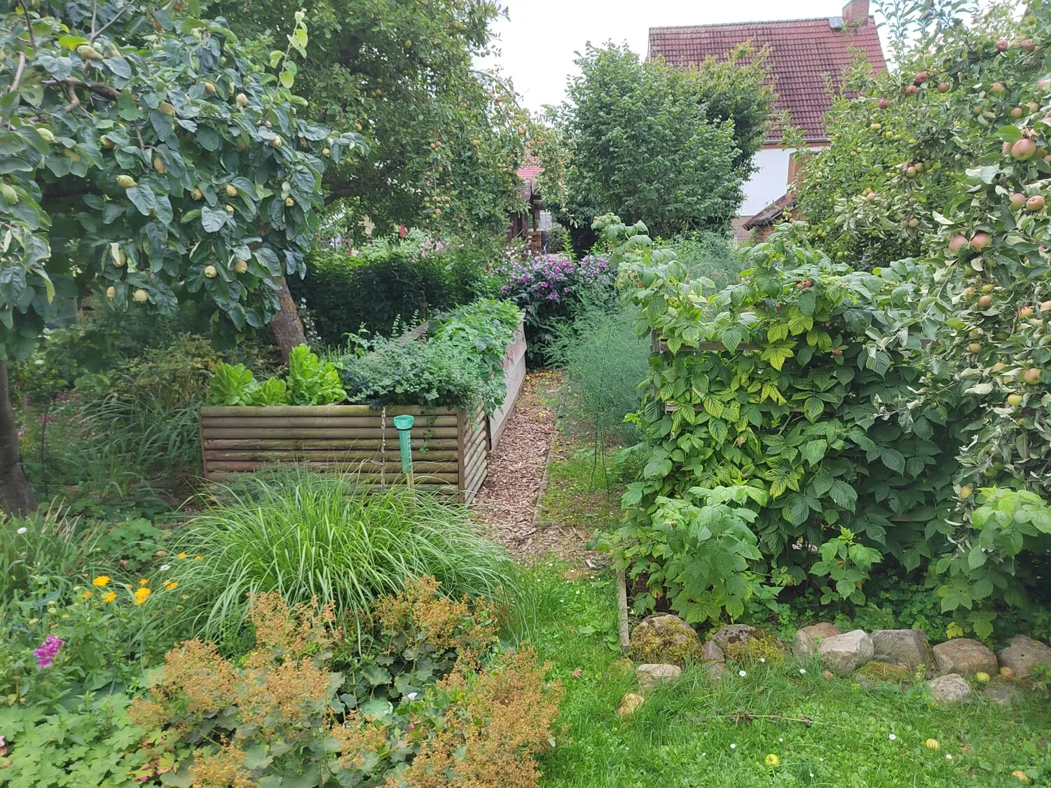 Garten 2