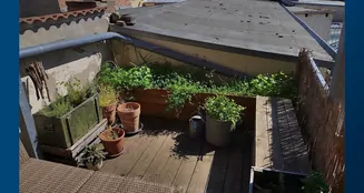 von_poll_real_estate_property_25164010_image_4