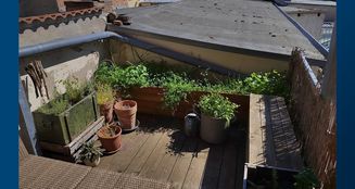 von_poll_real_estate_property_25164010_image_4