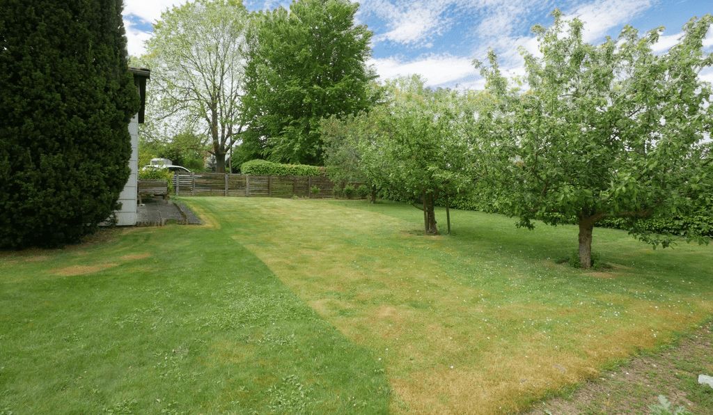 Garten mit Obstbäumen
