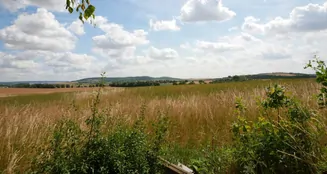 von_poll_real_estate_property_25113018_image_8