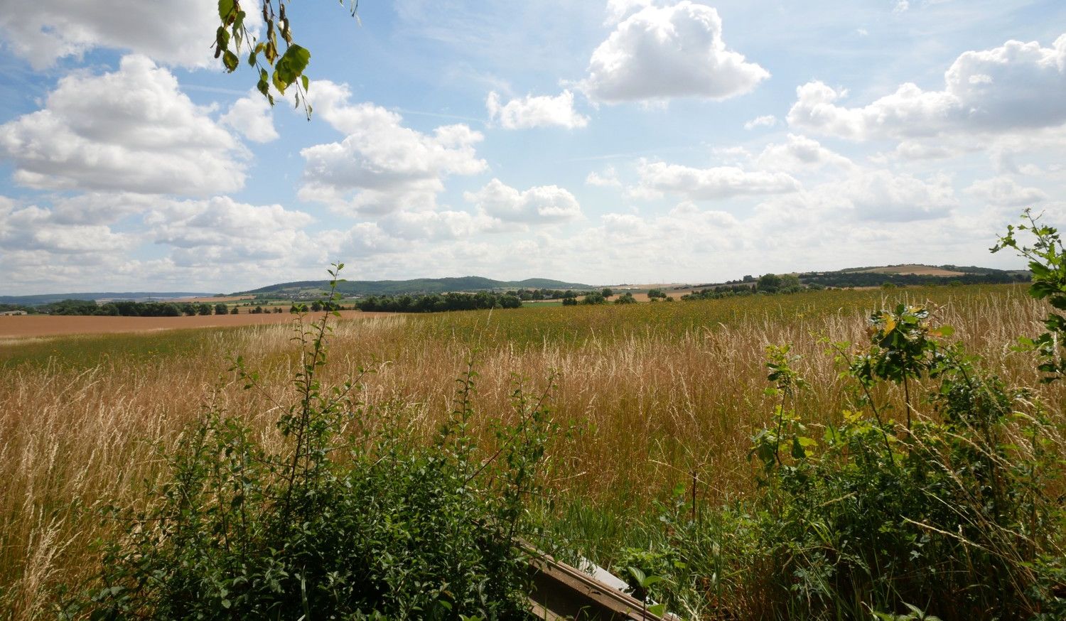 Blick nach Südosten