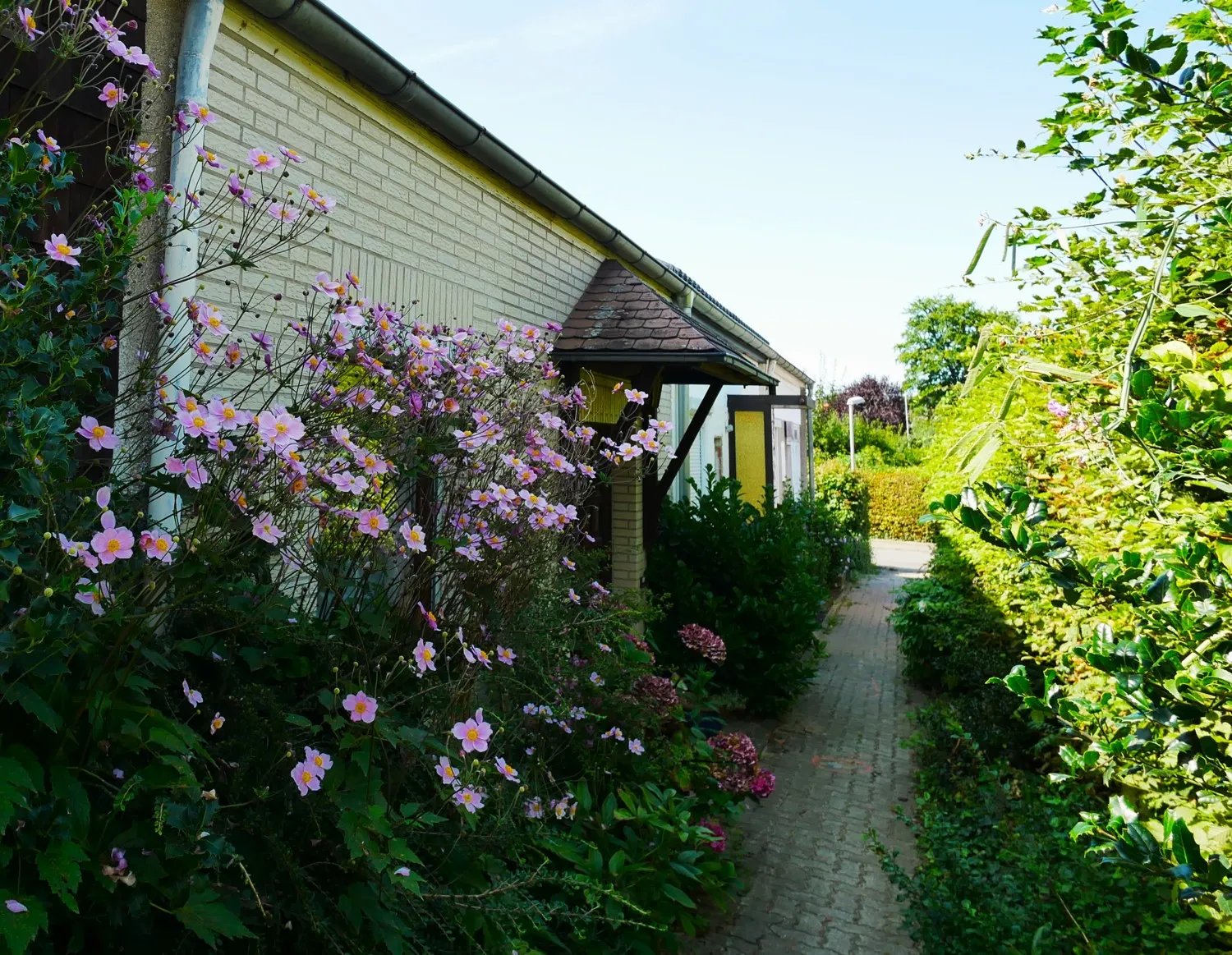 Cozy terraced house near university