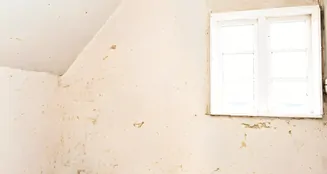 von_poll_real_estate_property_23113014a_image_8