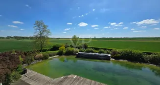 von_poll_real_estate_property_25113007_image_14