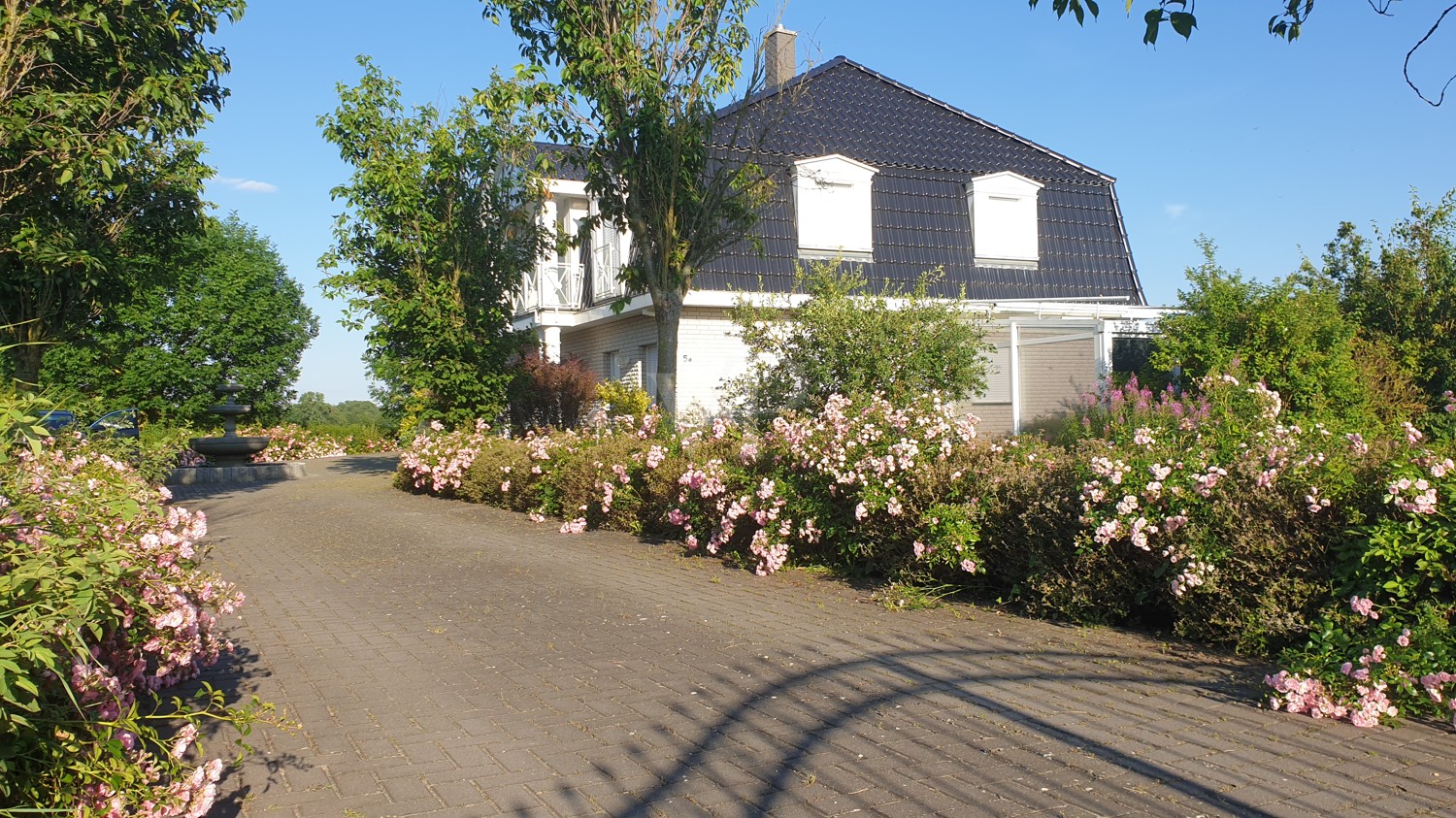 Auffahrt im Sommer