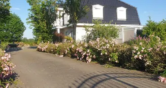 von_poll_real_estate_property_25113007_image_15