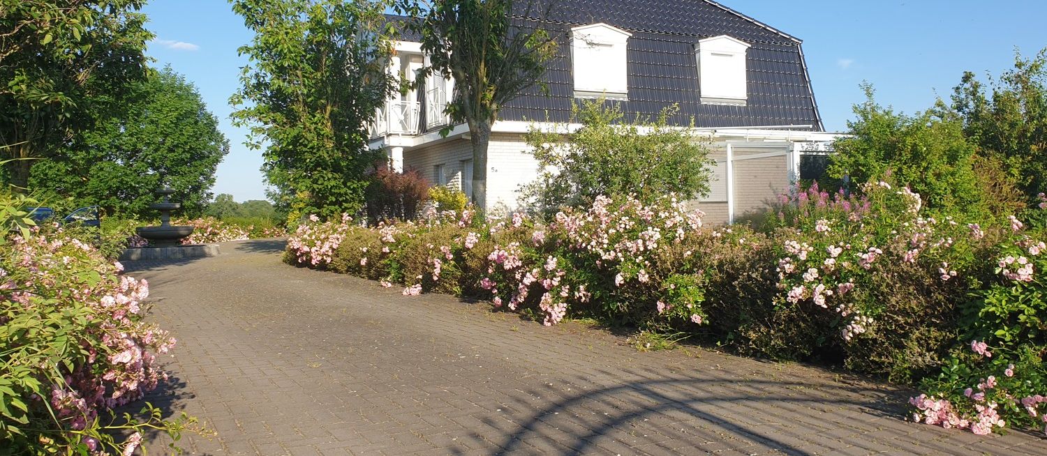 Auffahrt im Sommer