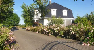 von_poll_real_estate_property_25113007_image_16