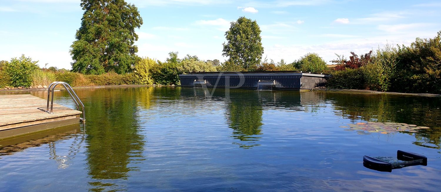 Schwimmteich
