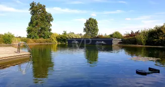 von_poll_real_estate_property_25113007_image_15