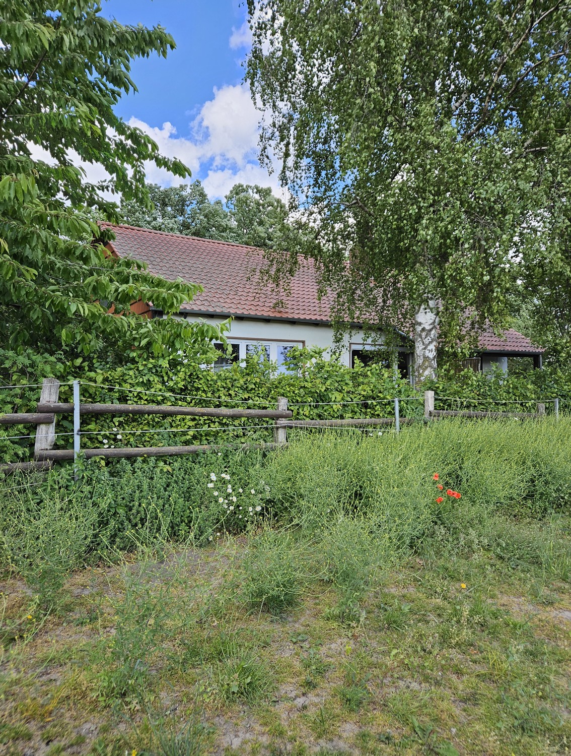 Ansicht Süd