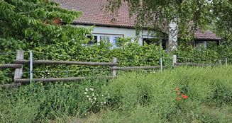 von_poll_real_estate_property_25113016_image_3