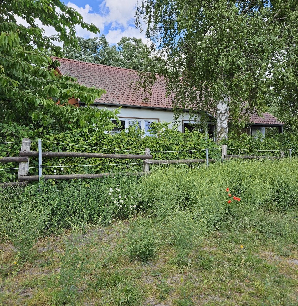 Ansicht Süd