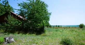 von_poll_real_estate_property_25113016_image_28