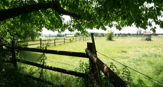 von_poll_real_estate_property_25113016_image_27