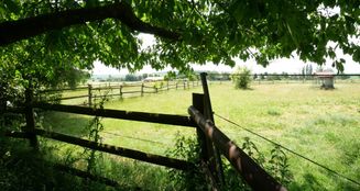 von_poll_real_estate_property_25113016_image_28