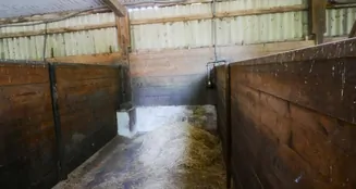 von_poll_real_estate_property_25113016_image_26