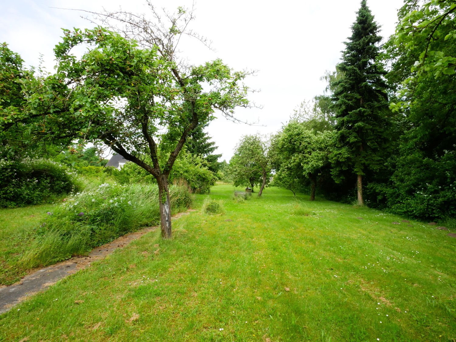 Garten 1