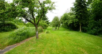 von_poll_real_estate_property_25113017_image_20