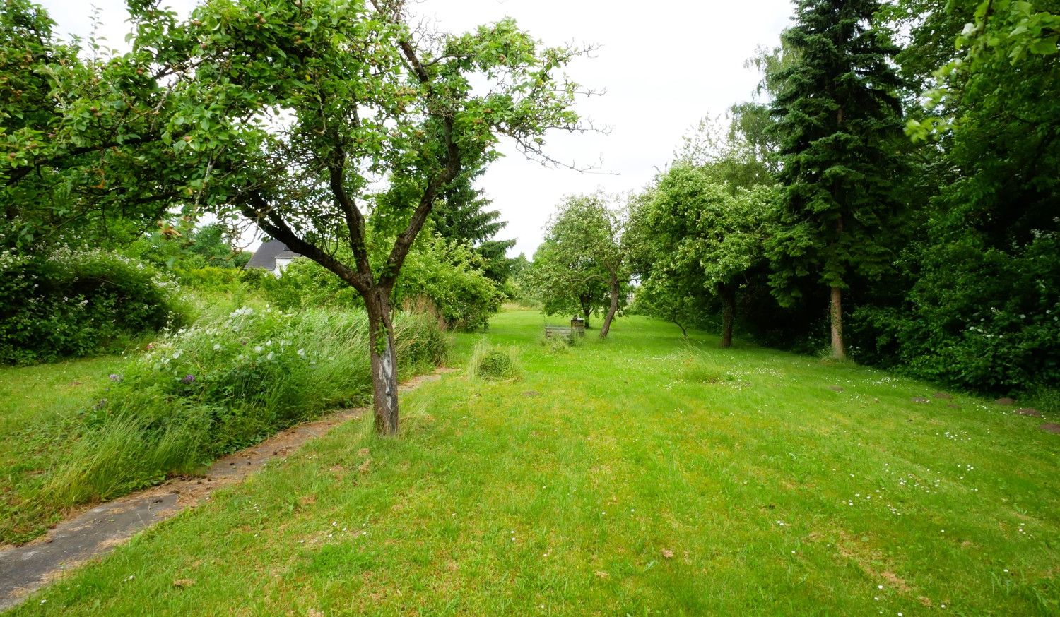 Garten 1