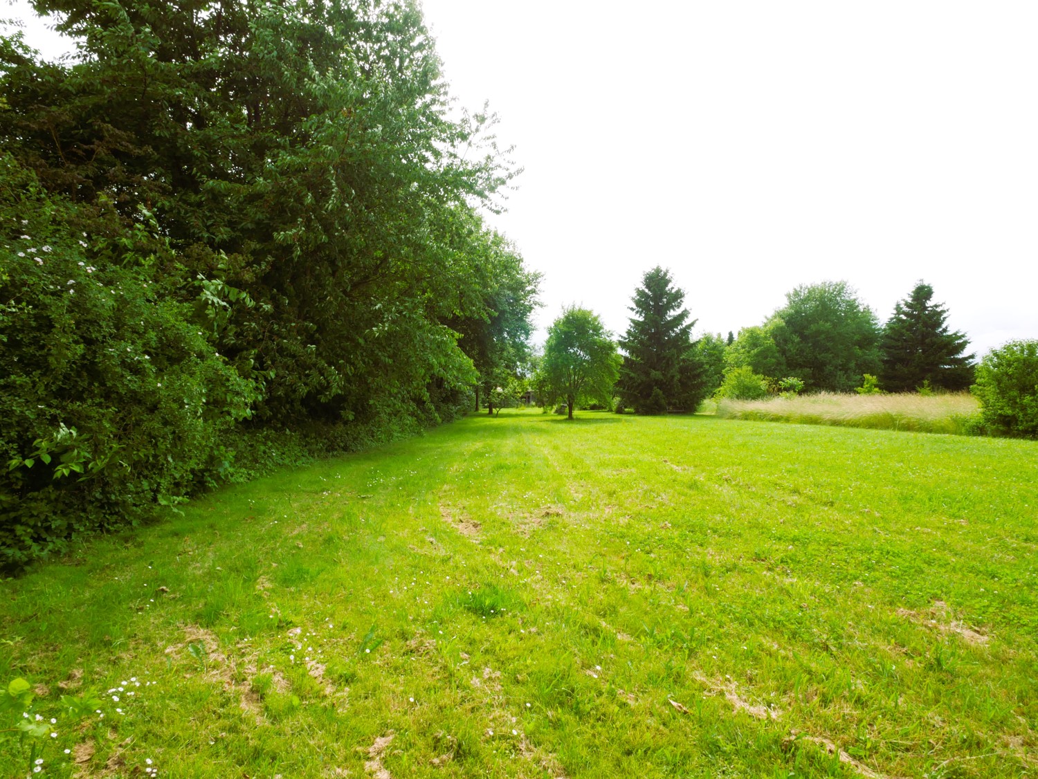 Blick vom Garten 1