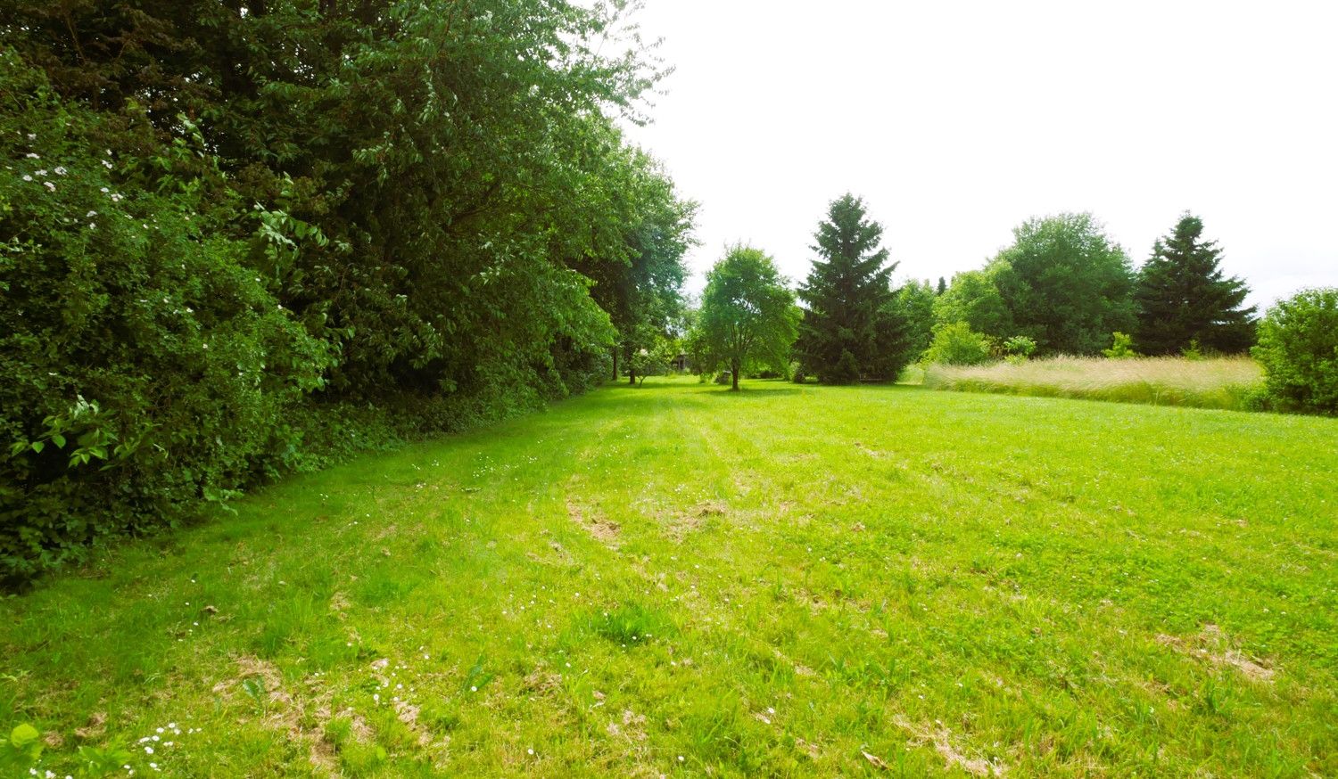 Blick vom Garten 1