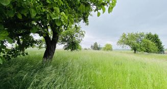 von_poll_real_estate_property_24326032_image_0