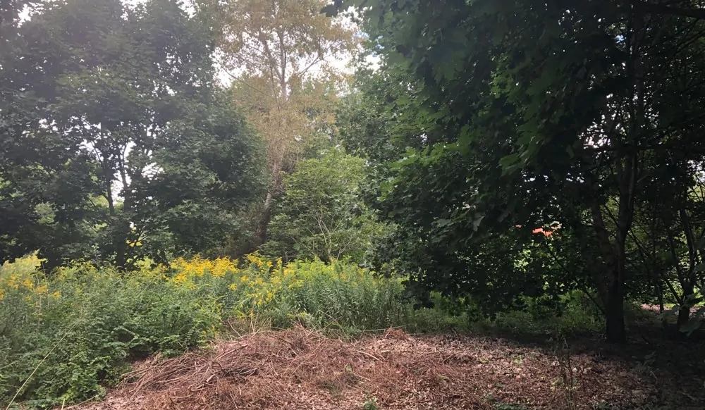 Bauplatz zentral und ruhig im Ort