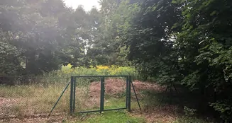 von_poll_real_estate_property_22326046_image_6