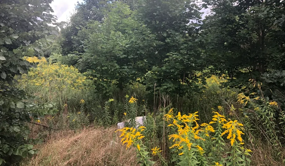 Bauplatz zentral und ruhig im Ort