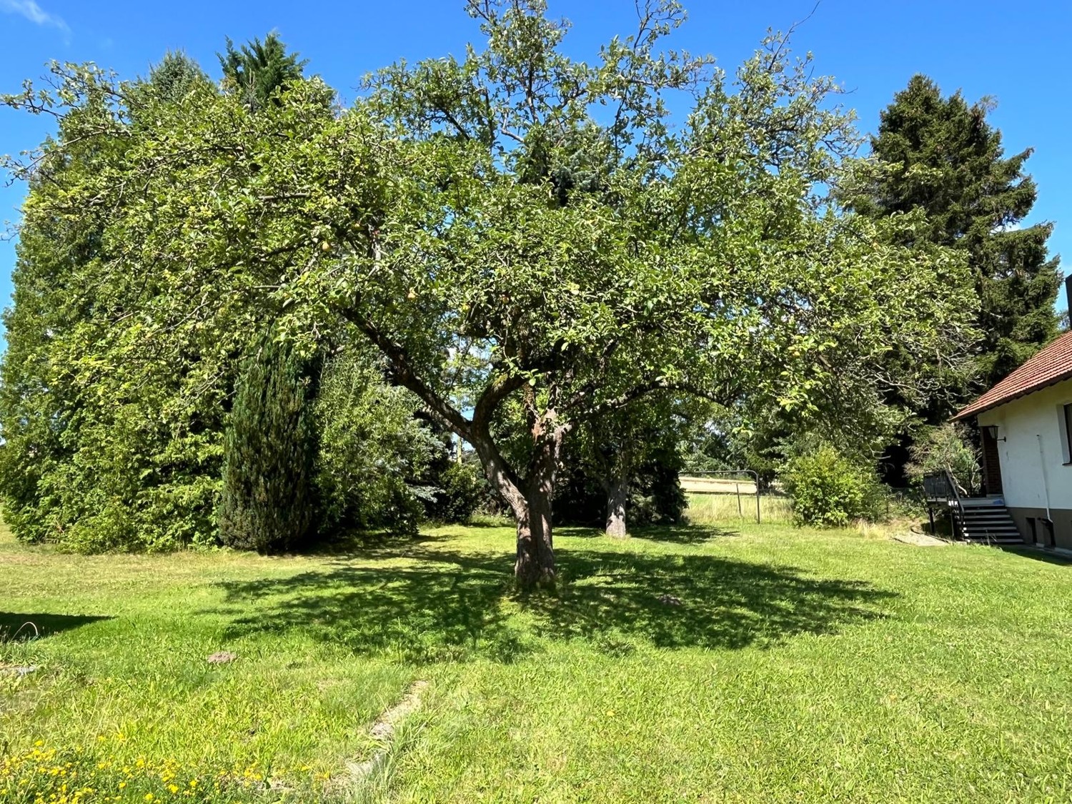 Sanierungsobjekt in ruhiger Lage