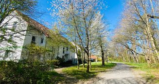 von_poll_real_estate_property_25326012_image_11