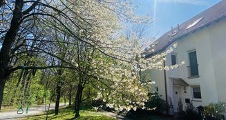 von_poll_real_estate_property_25326012_image_33