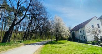 von_poll_real_estate_property_25326012_image_20