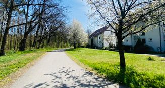 von_poll_real_estate_property_25326012_image_18