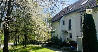 von_poll_real_estate_property_25326012_image_24