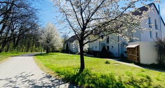von_poll_real_estate_property_25326012_image_19