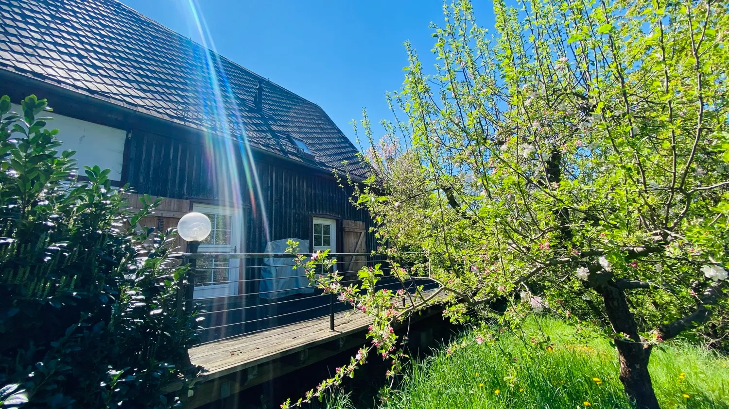 f79eeff6-f5e2-4575-80b6-75a9ad88a3e2