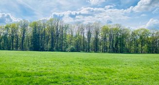 von_poll_real_estate_property_25326018_image_4