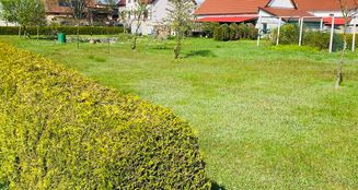 von_poll_real_estate_property_25326018_image_3