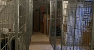 von_poll_real_estate_property_25326013_image_5