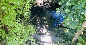 von_poll_real_estate_property_25326029_image_14