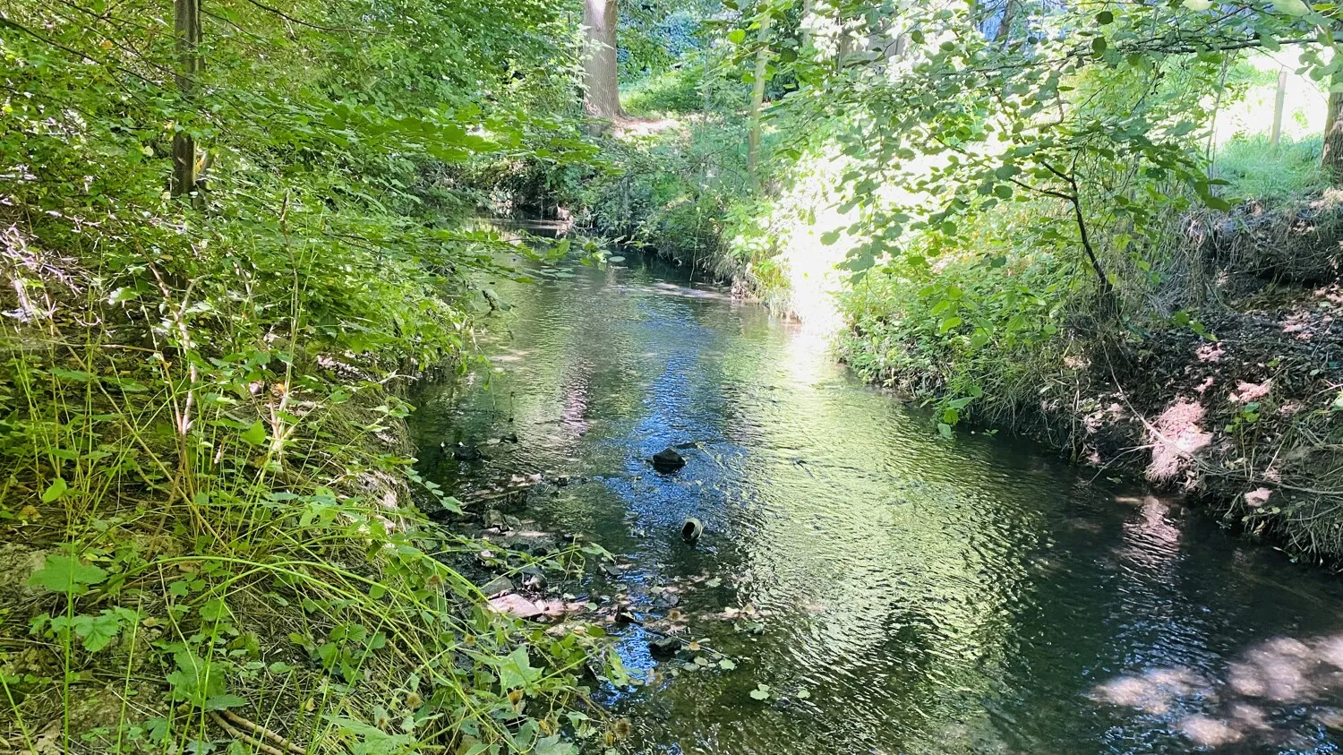 Klosterwasser am Grundstück