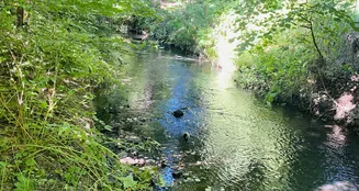 von_poll_real_estate_property_25326029_image_15