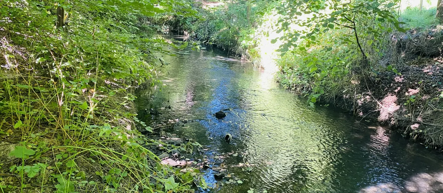 Klosterwasser am Grundstück