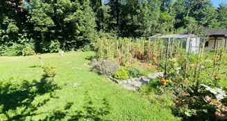 von_poll_real_estate_property_25326029_image_13