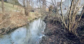 von_poll_real_estate_property_25326029_image_4