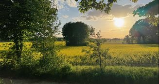 von_poll_real_estate_property_25326020_image_0
